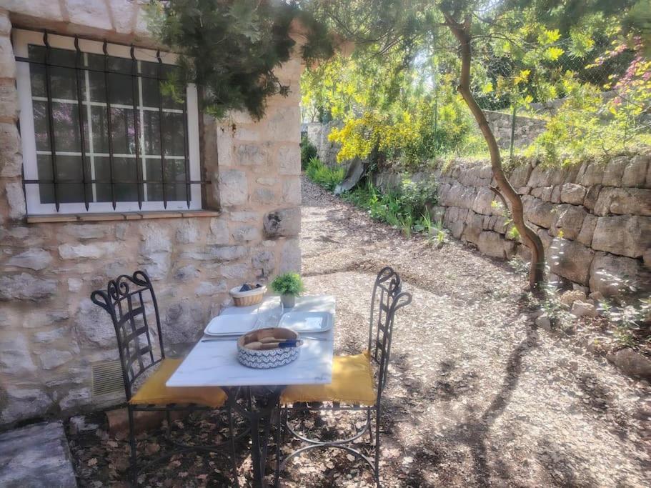 Domaine Des Petites Soeurs A 800M Du Centre Historique Avec 5200M2 De Parc Arbore Vence Exterior foto
